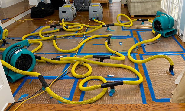 Professional Water Damage Repair technician working in Jefferson, ME